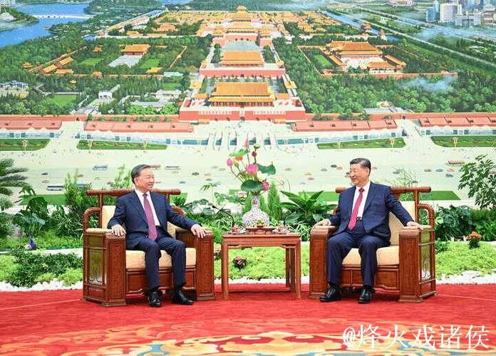 习近平同越共中央总书记苏林举行会谈 习近平同越共中央总书记苏林举行会谈